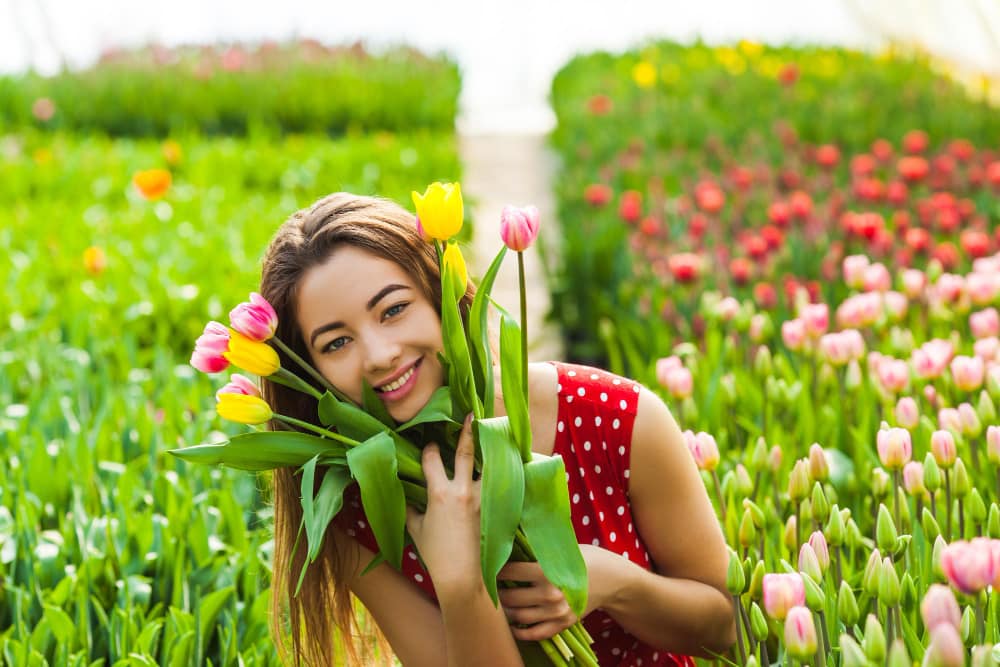 El encanto de los bulbos de tulipanes