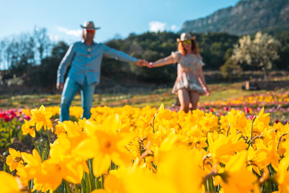 excursiones cerca de barcelona