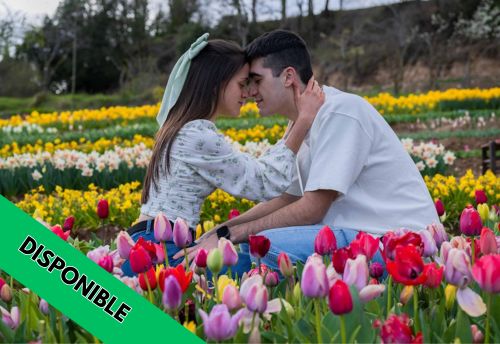 Pack Romántico PREMIUM