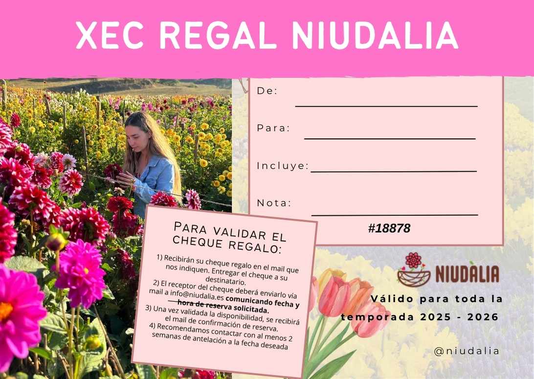 VÁLIDO PARA 2025