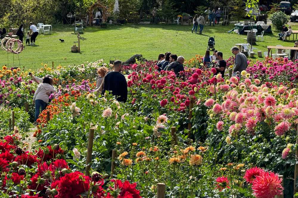 ¿Qué ver cerca de Igualada?: flores, naturaleza y pueblos con encanto
