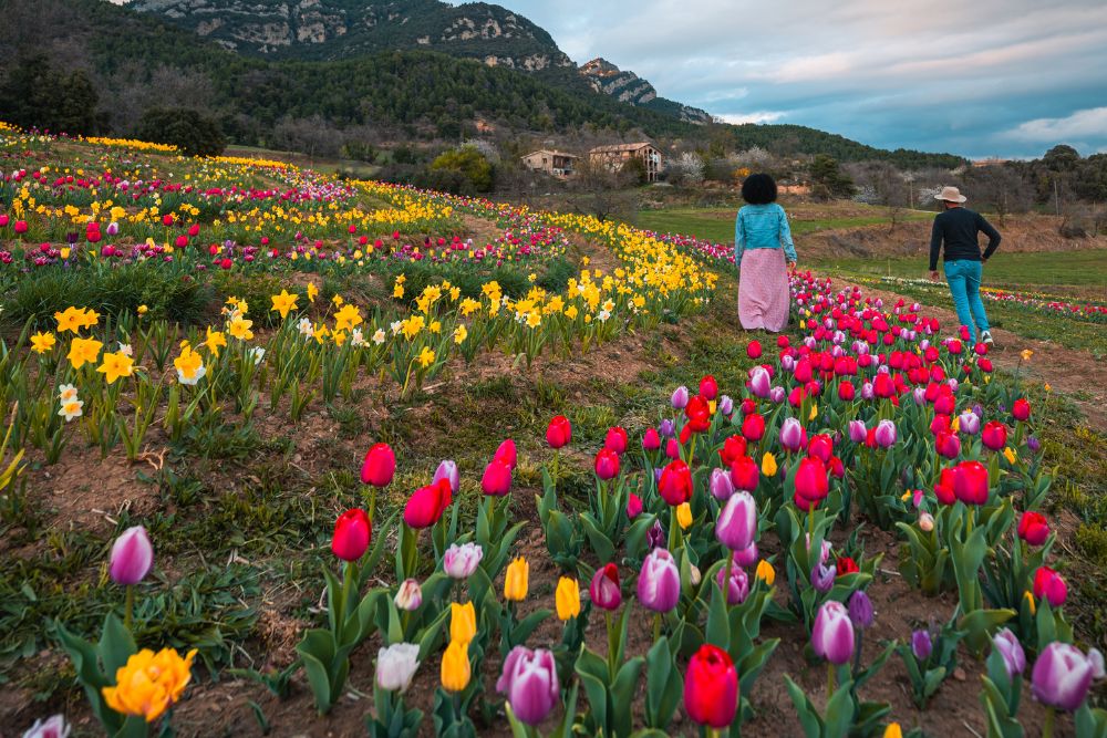 Lugares bonitos cerca de Manresa: flores, naturaleza y desconexión