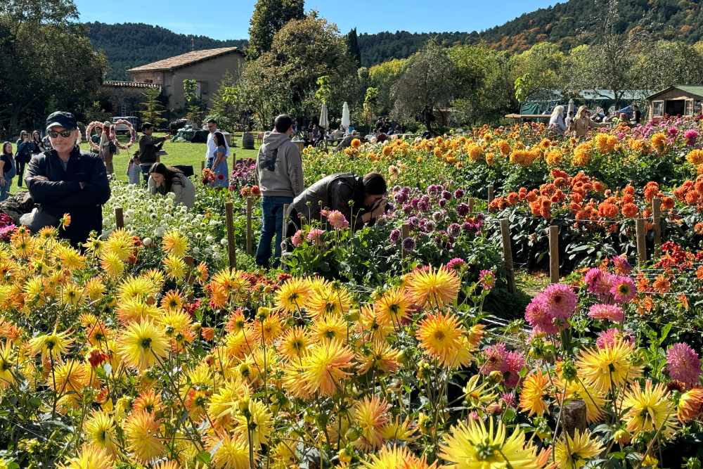 escapadas de un día desde barcelona